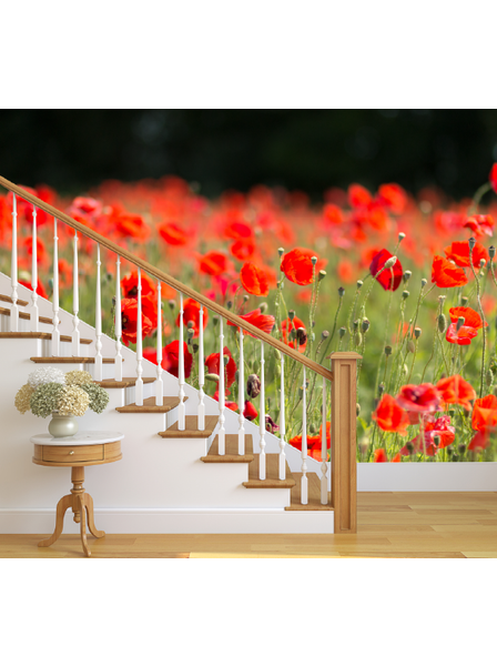 Mohnwiese - Fototapete - Fototapete in individueller Größe