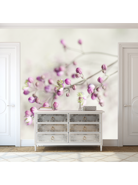 Zarter Blütenzweig - Fototapete - Fototapete in individueller Größe