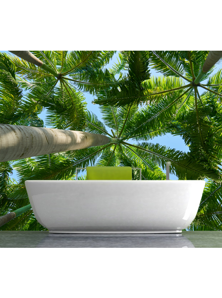 Palmen Himmel - Fototapete - Fototapete in individueller Größe