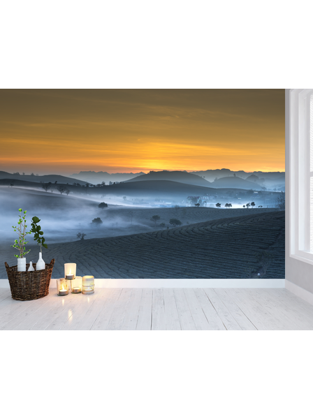 Teeplantage Sonnenaufgang - Fototapete - Fototapete in individueller Größe