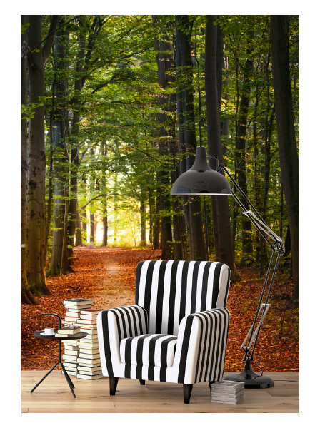 Waldweg Herbst - Foto Tapete - Fototapete in individueller Größe