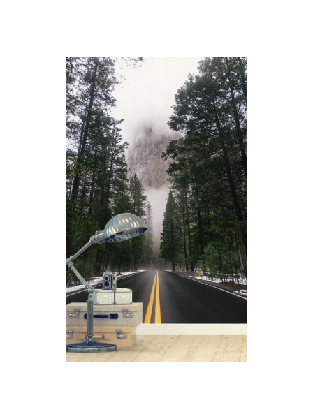 Winterstraße im Wald - Fototapete - Fototapete in individueller Größe