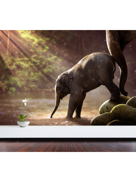 Babyelefant Fototapete - Fototapete in Wunschfarbe 