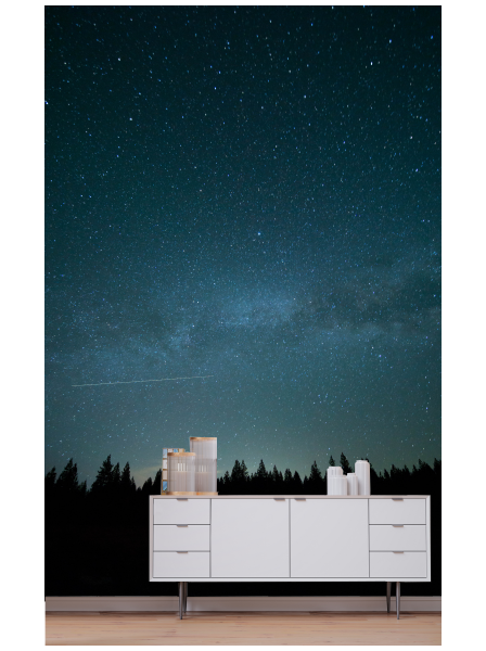 Baumspitzen Sternenhimmel Fototapete - Fototapete in Wunschfarbe 