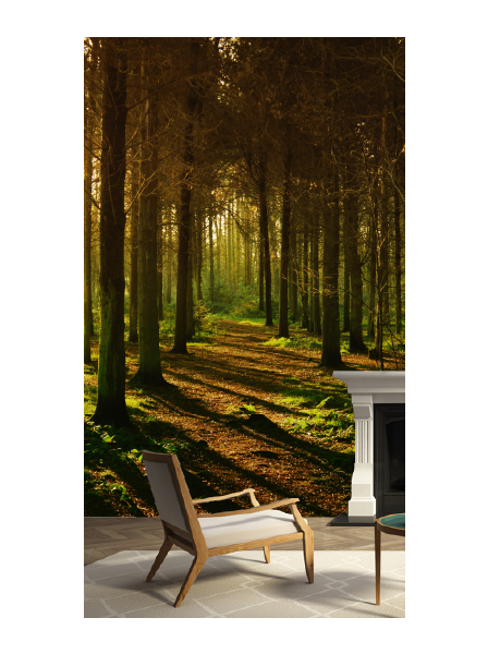 Herbstwald - Fototapete - Fototapete in individueller Größe