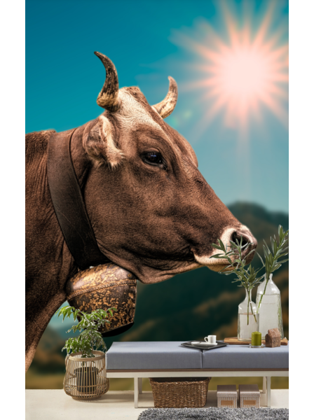 Kuh mit Glocke - Fototapete - Fototapete in individueller Größe